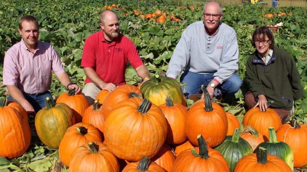 research group in the pumpkin field