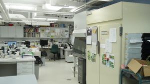 plant disease clinic lab