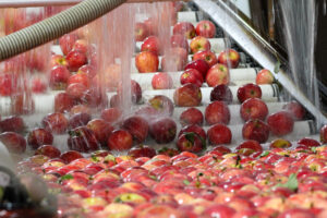 Cover photo for Managing Water Used at Harvest and Post Harvest in Produce Farms Workshops