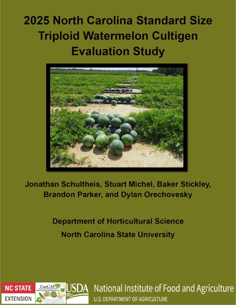 Watermelon Report Cover photo